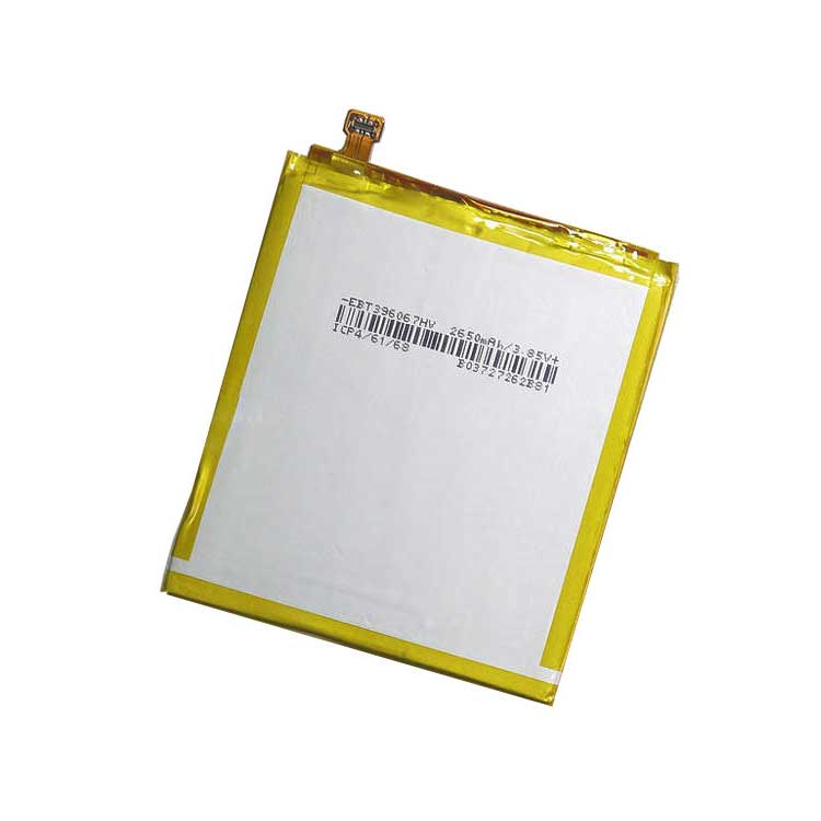 NOKIA HE319 Batterie